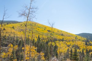 20201020FallColors2020184.jpg